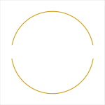 Mindset Movement